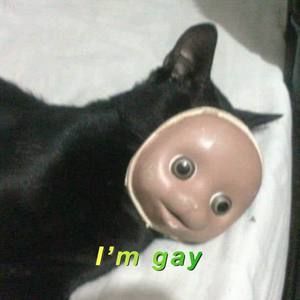 Meet your Posher, Jessa